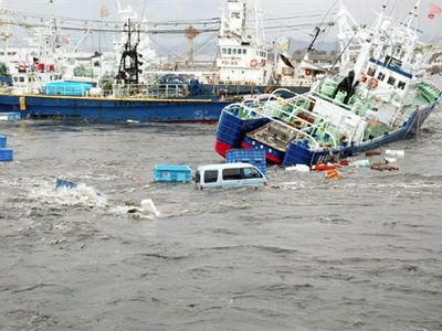 В Японии построят «ковчеги» для защиты от цунами                                 - В Мире