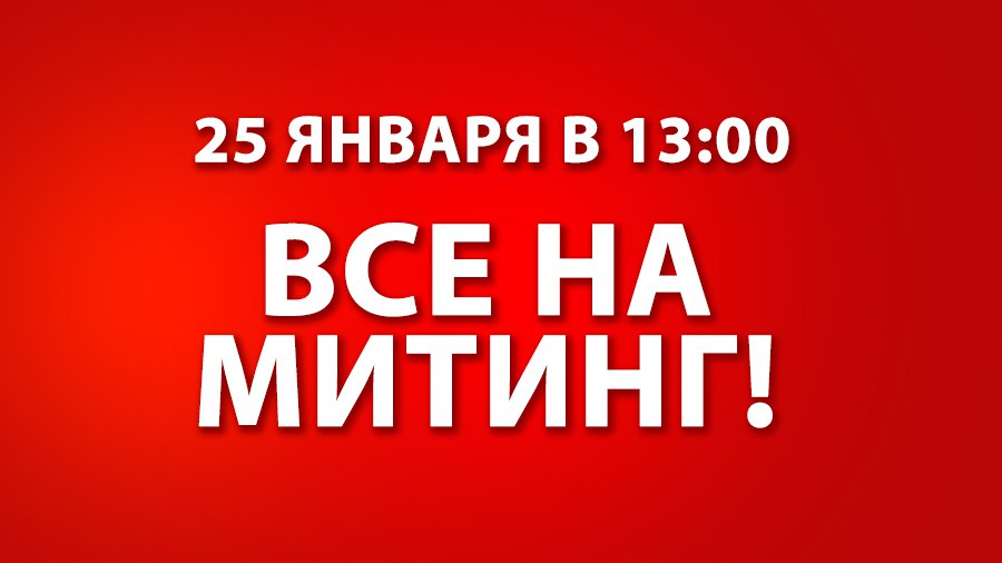 Митинг состоится - В Висагинасе
