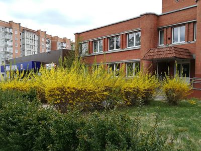 Территория бывшего здания «Содры» приходит в запустение - В Висагинасе