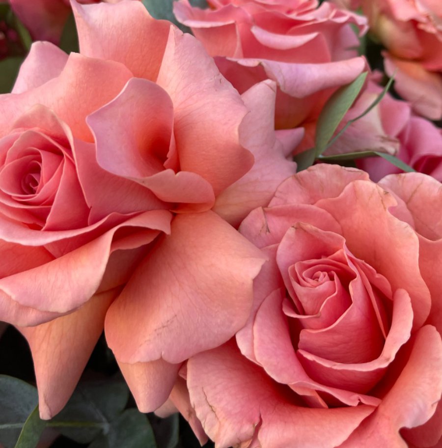 Поздравление от демократов с Международным женским днем! - Поздравления