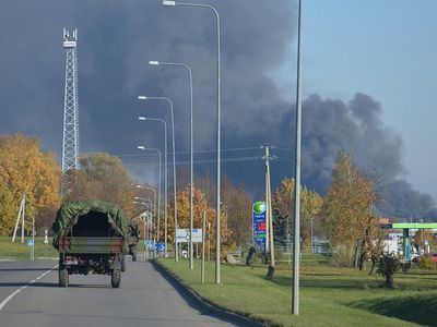 Парламентарий обратился к министру К. Мажейке по поводу расследования экологической катастрофы в Алитусе - Литва и страны Балтии