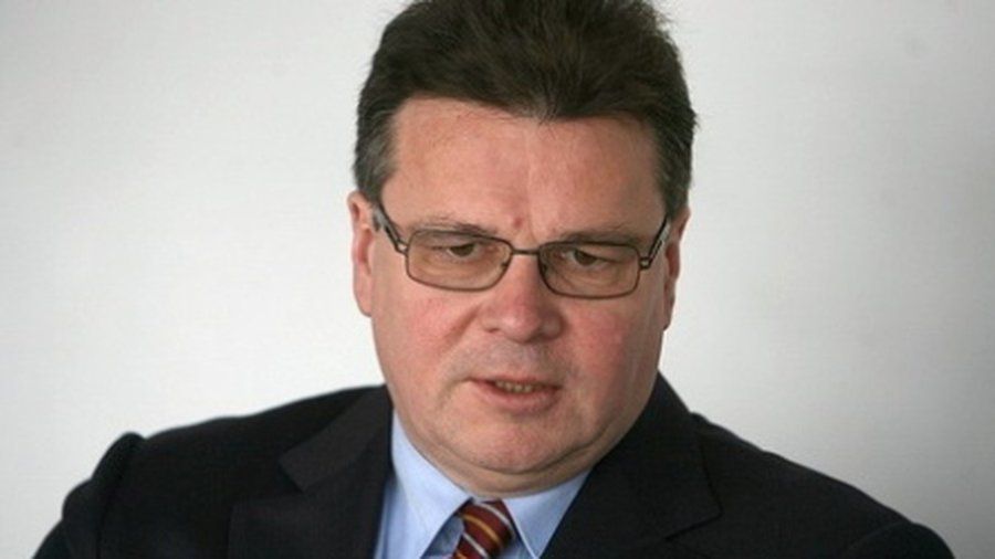 Литовский МИД призвал ЕС не наказывать Белоруссию - Литва и страны Балтии