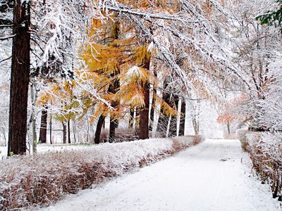 Погода: похолодание уже не за горами - Литва и страны Балтии