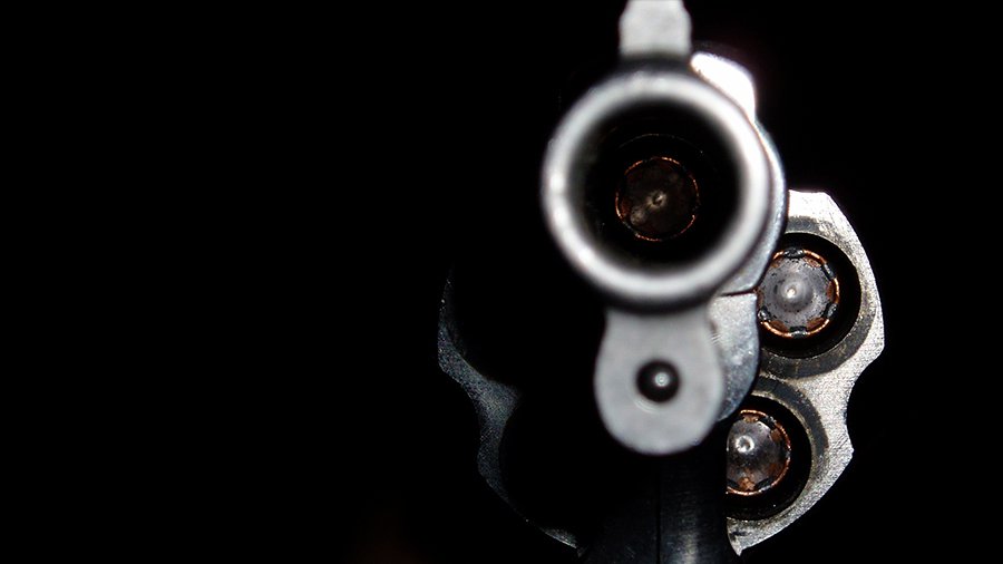 Жители Литвы и Чехии самые вооружённые в странах ЕС - Литва и страны Балтии