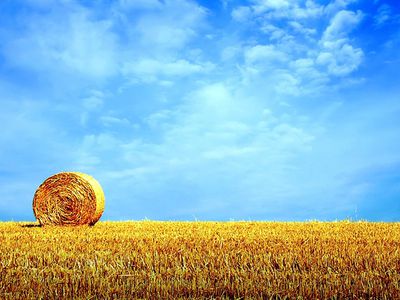 В Литве ожидается жара до +30 градусов - Литва и страны Балтии