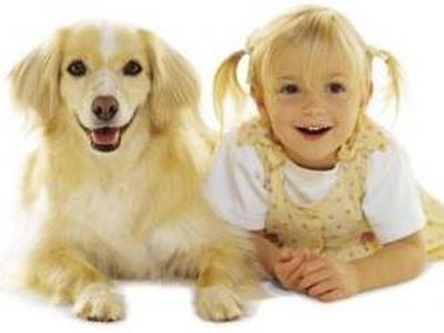 Наши мнения об умственных способностях детей и собак завышены - Наука и здоровье