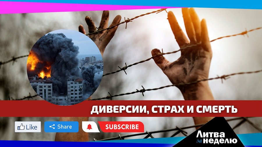 Эвакуация из Израиля, угроза диверсий и кибернападения на школы: Литва за неделю (видео) - Литва и страны Балтии