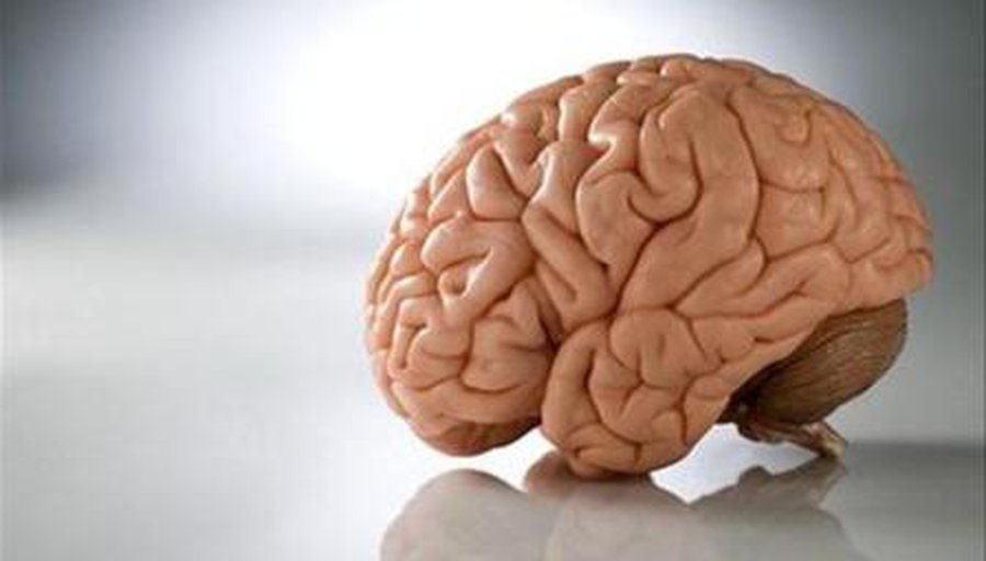 Мозг оказался способен учиться во сне - Наука и здоровье