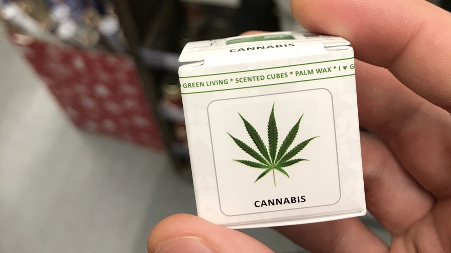 У здания парламента состоялся митинг против сурового наказания за хранение конопли - Литва и страны Балтии