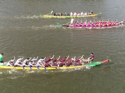 Фестиваль-соревнования "Гонки на лодках-драконах" состоится в этом году 15 июля (видео) - В Висагинасе