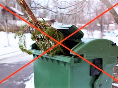 Куда выбросить ёлку после праздников - В Висагинасе