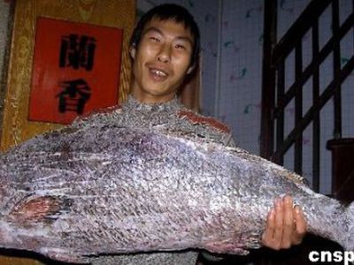 Китайский рыбак поймал «золотую рыбку» - В Мире