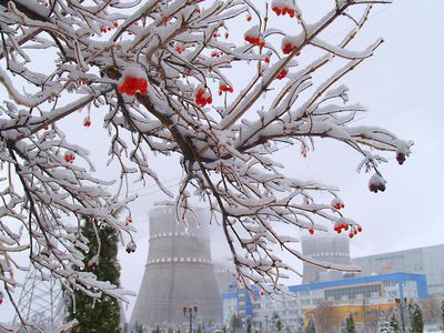 Украина. На Ровенской АЭС отрицают попытку захвата - В Мире