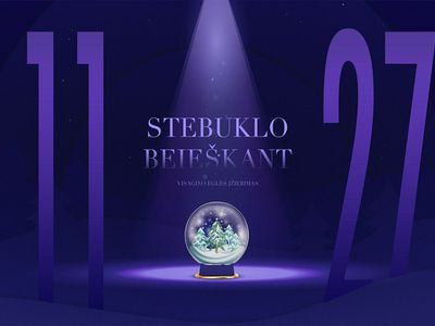 В поисках чуда: маршрут праздника зажжения огней на городской елке - В Висагинасе