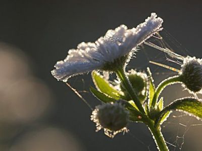 Прогноз: ненадолго придет прохлада - Литва и страны Балтии