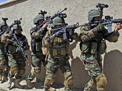 СМИ: Украинский кризис спланирован для приближения НАТО к границам России - В Мире