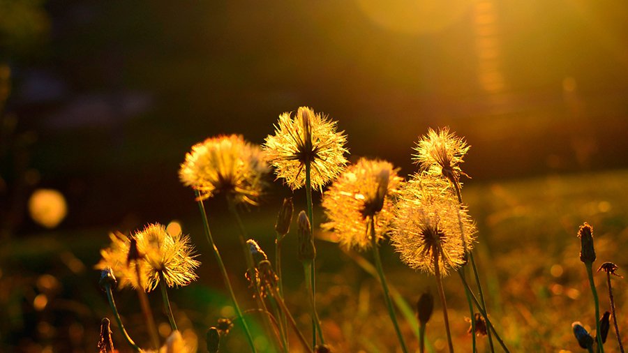 В Литву идет жара - Литва и страны Балтии