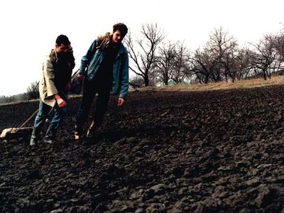 Аграрии Литвы понесли значительные убытки - Литва и страны Балтии