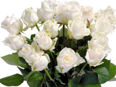 С Днем рождения, любимая! - Поздравления