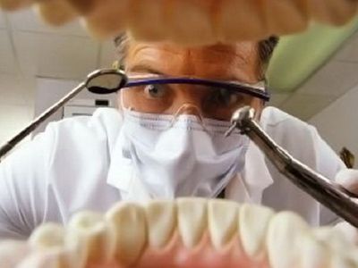 Под носом у Грибаускайте и Вериги – нелегальные работники? - Литва и страны Балтии