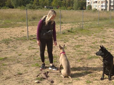 Клуб «Laimingas šuo» открывает свои двери любителям и владельцам собак и кошек - Реклама