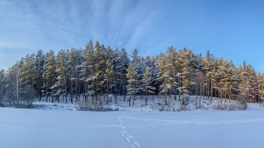 В Литву возвращаются морозы - Литва и страны Балтии
