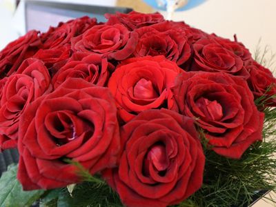 Лидию Александровну Катульскую - с 85-летием! - Поздравления