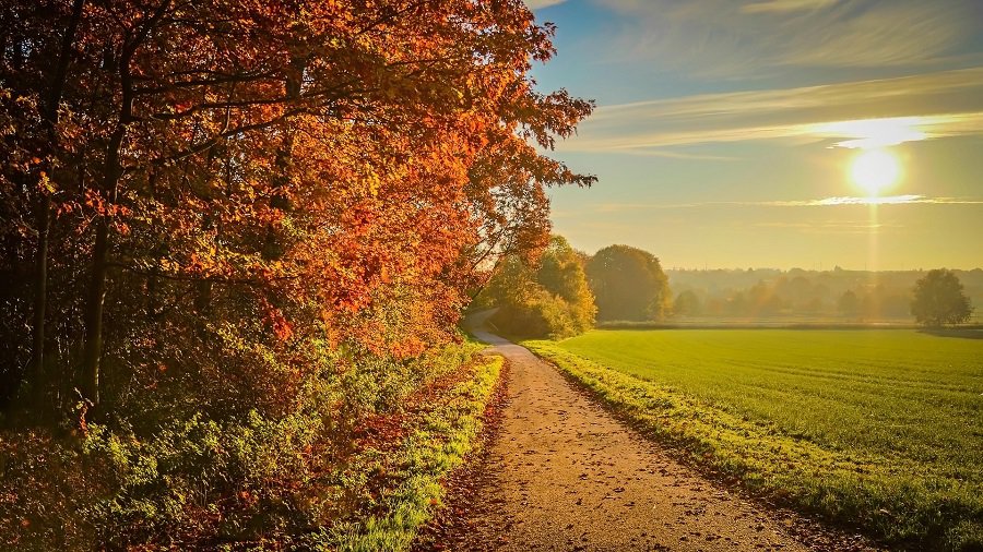 Климатолог рассказал, когда в Литву придет осень - Литва и страны Балтии