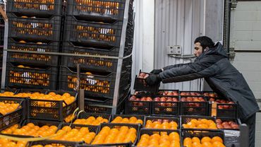Россия ужесточает правила ввоза фруктов и овощей через границу
