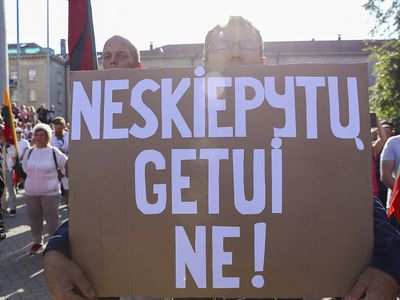В. Чмилите-Нильсен не планирует встречаться с митингующими 10 сентября - Литва и страны Балтии