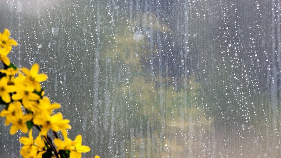 Po šilto ir sauso savaitgalio - lietus visoje šalyje - Įdomu žinoti