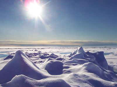 Выяснены причины таяния арктических льдов - Наука и здоровье