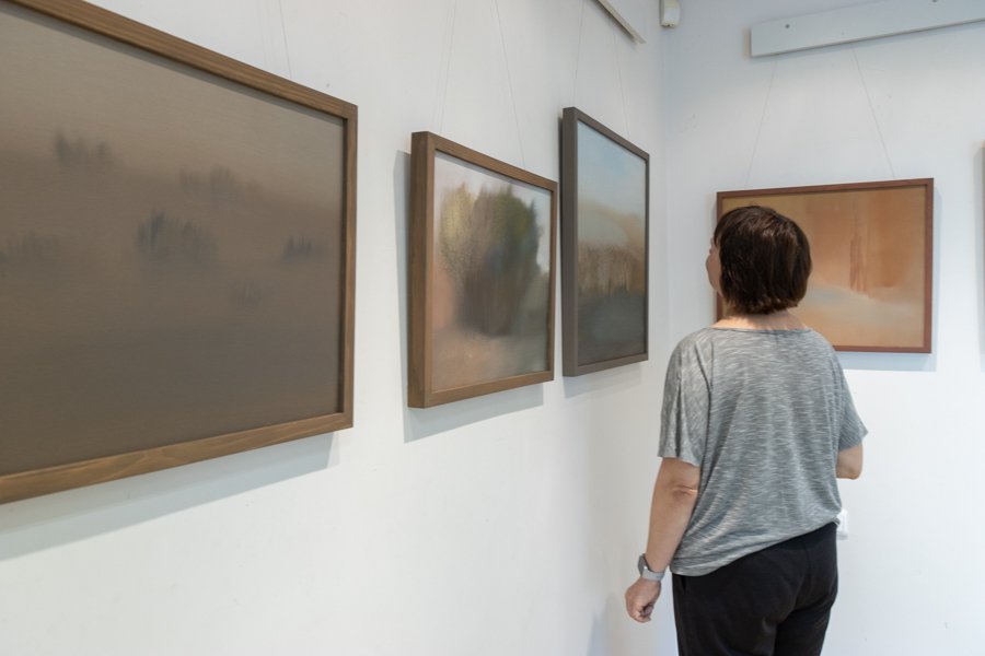 Гармония красок и фактур: новая выставка в Висагинасе (фотогалерея) - В Висагинасе