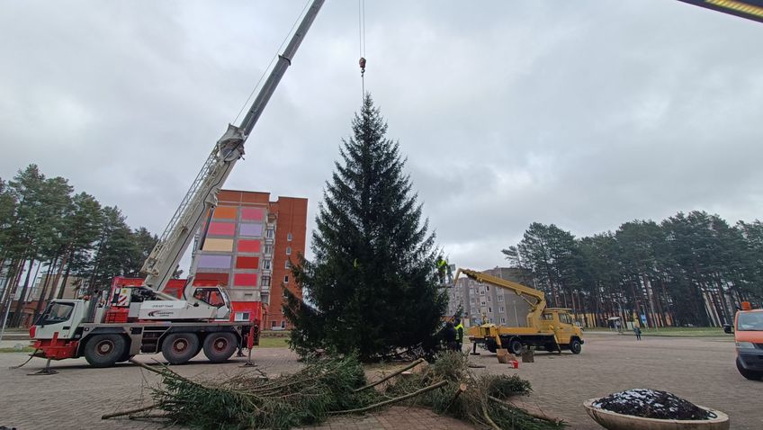 На площади Сантарвес установили необычную новогоднюю ёлку (видео)