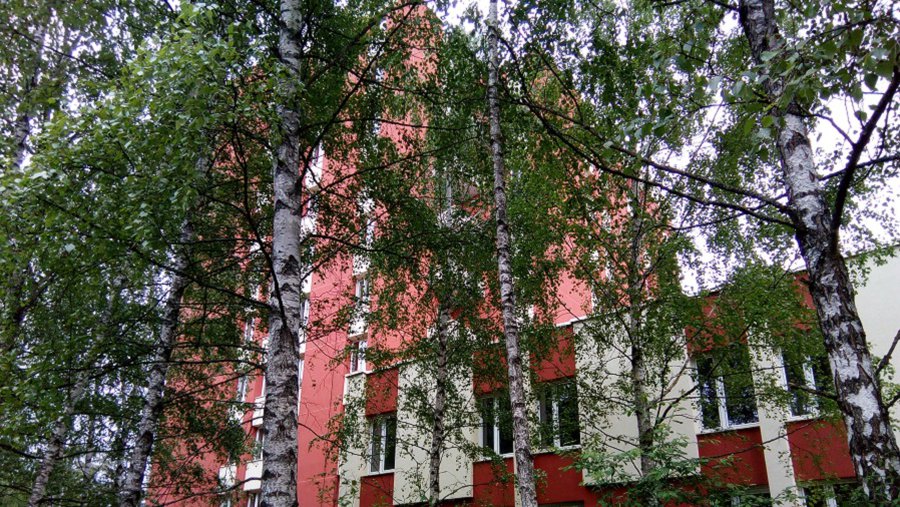 «MediCa» намерена прийти в Висагинас, несмотря на препятствия - В Висагинасе