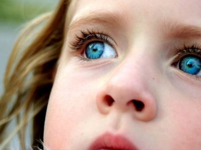 На глазах у несовершеннолетних нельзя проводить обыск - Литва и страны Балтии