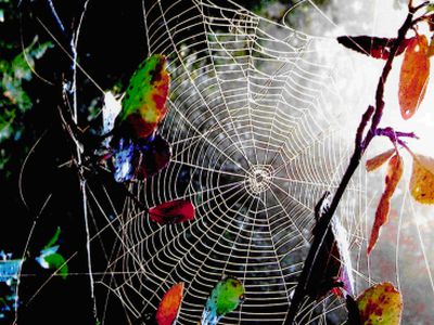 Приглашаем посетить  выставки                                                 - В Висагинасе