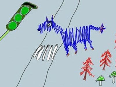 Правда ли, что собаки дальтоники? - Наука и здоровье