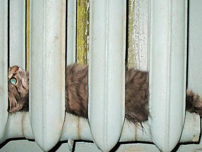 Завершается отопительный сезон                                 - В Висагинасе