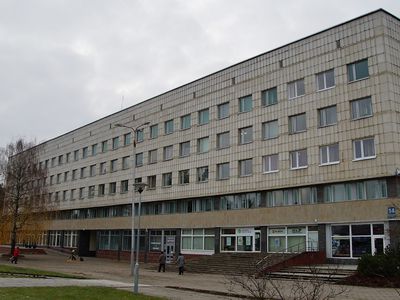 18-летние смогут избираться в советы самоуправлений - Литва и страны Балтии