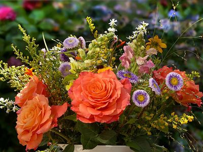 Иосифа Егоровича Александровича поздравляем с 77-летием! - Поздравления