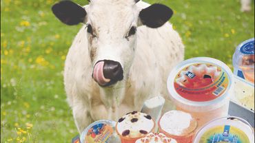 Молоко надо закупать по европейским ценам, считают фермеры Литвы