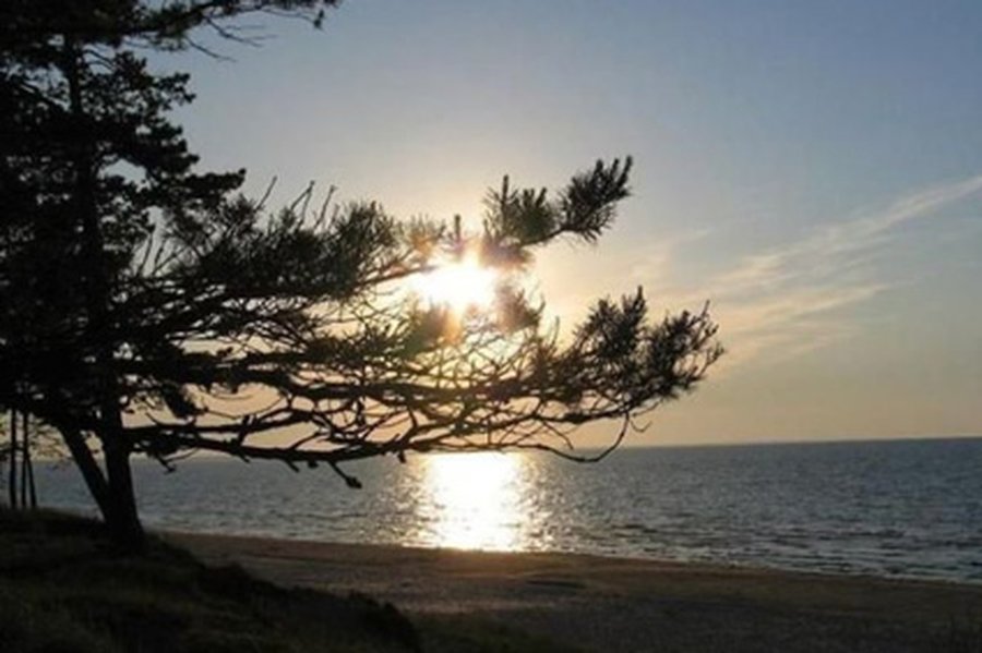 Отдых на Рижском море для весёлых и активных детей!                                   - В Висагинасе