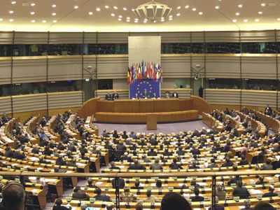 Кандидатов в Европарламент смогут выдвигать и общественные комитеты - В Мире