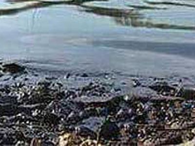 Жительница литовской деревни утопила двоих новорожденных детей - Происшествия и криминал