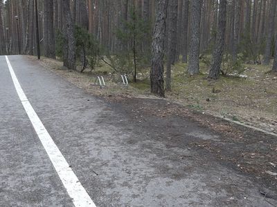 Куда пропали скамейки, которые раньше стояли вдоль дорожки на вокзал? - В Висагинасе