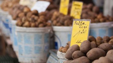 Россия запретила импорт картофеля из Литвы и других стран ЕС