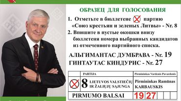 Светлана Бабуева: «Надеюсь, что новое правящее большинство Сейма займется решением проблем Висагинаса!»