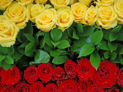 Приглашаем на праздничный концерт посвященный Дню восстановления независимости государства - Культурные и спортивные мероприятия