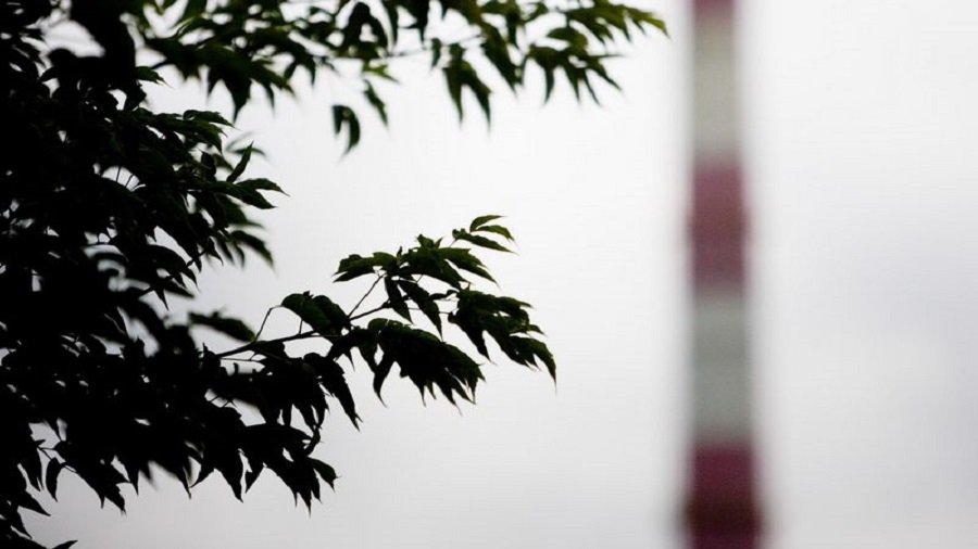 Висагинский совет дал «зеленый свет» проекту «Висагинская когенерационная электростанция» - В Висагинасе